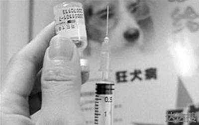 打狂犬疫苗吃辣的后果 打狂犬疫苗喝酒的后果