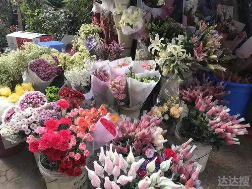 鲜花涨价近4倍 为什么母亲节的花那么贵