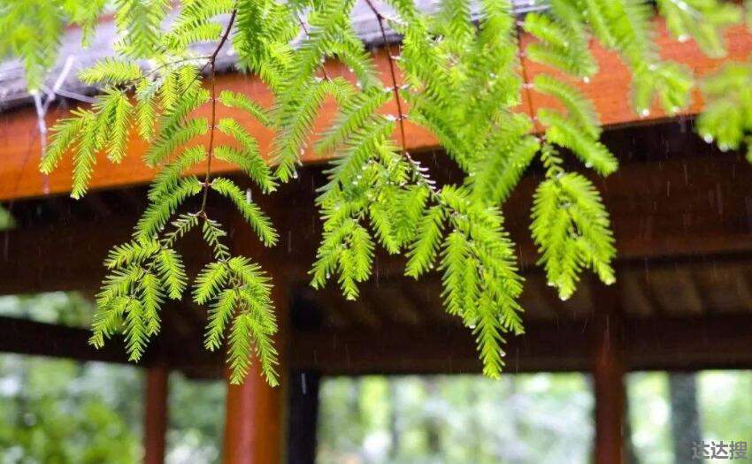 梅雨季节适合装修吗 梅雨季节墙面可以装修吗