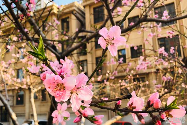 鬼节想要辟邪，佩戴这三种饰品能驱灾辟邪