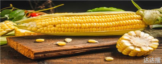 玉米立秋抽穗能成熟吗