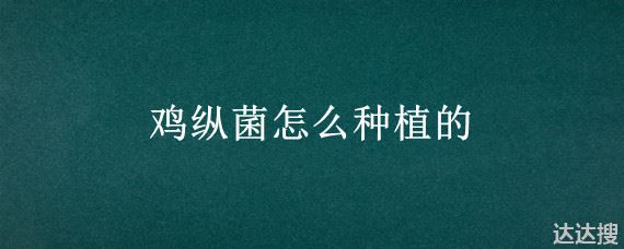 鸡纵菌怎么种植的 鸡枞菌怎么种植