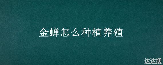 金蝉怎么种植养殖