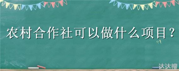 农村合作社可以做什么项目