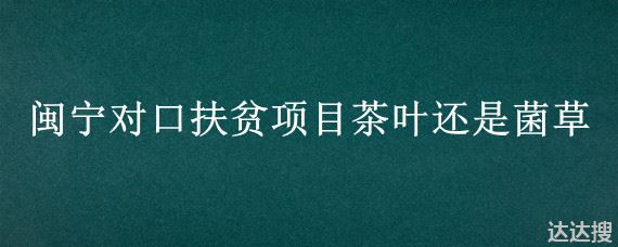 闽宁对口扶贫项目茶叶还是菌草