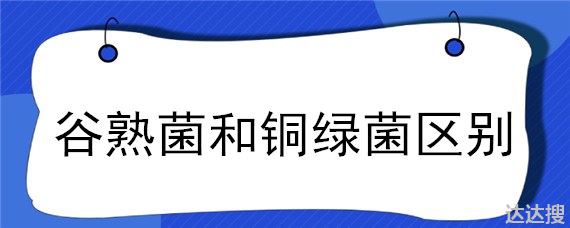 谷熟菌和铜绿菌区别 谷熟菌和铜绿菌