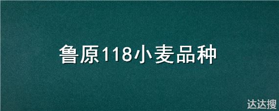 鲁原118小麦品种 鲁原118小麦种怎么样