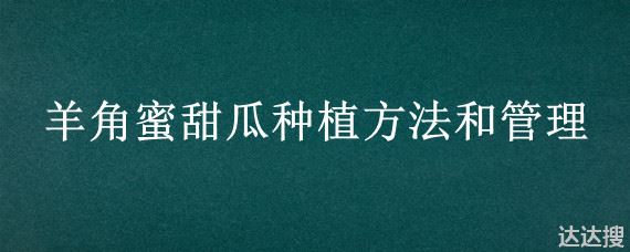 羊角蜜甜瓜种植方法和管理