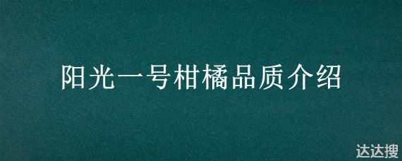 阳光一号柑橘品质介绍