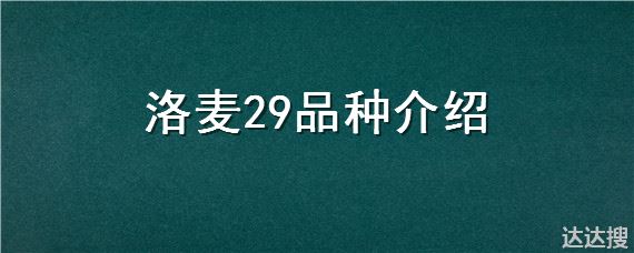 洛麦29品种介绍
