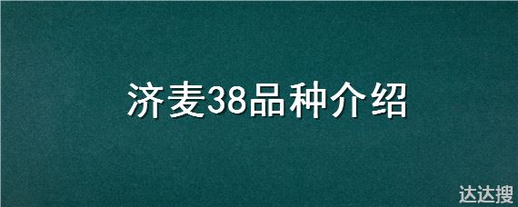 济麦38品种介绍