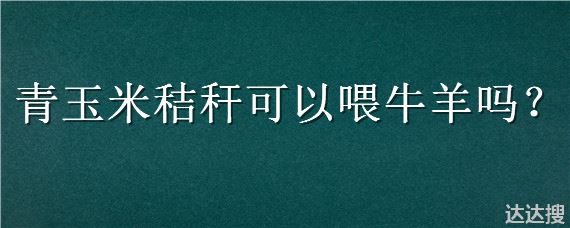 青玉米秸秆可以喂牛羊吗 青玉米秸秆可以喂牛吗