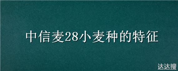 中信麦28小麦种的特征