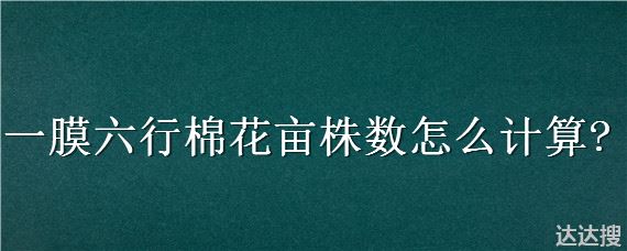 一膜六行棉花亩株数怎么计算