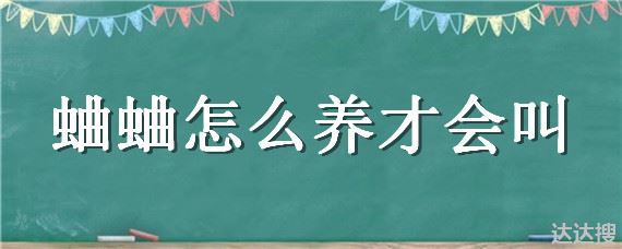 蛐蛐怎么养才会叫