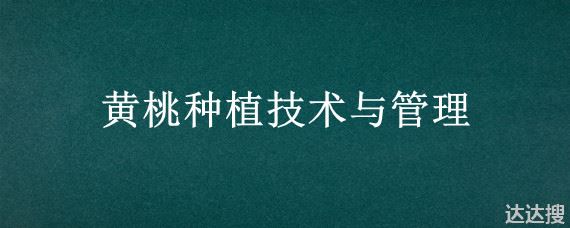 黄桃种植技术与管理