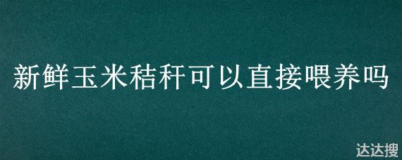 新鲜玉米秸秆可以直接喂养吗