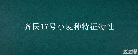 齐民17号小麦种特征特性