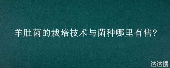 羊肚菌的栽培技术与菌种哪里有售?