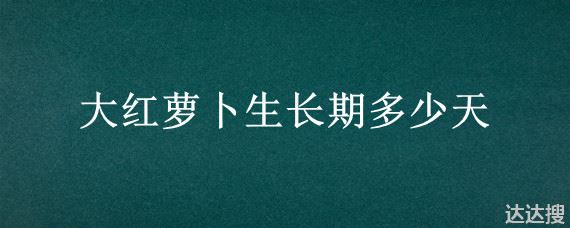 大红萝卜生长期多少天