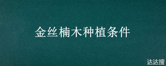 金丝楠木种植条件