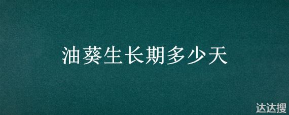 油葵生长期多少天