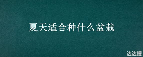 夏天适合种什么盆栽