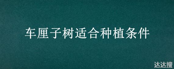 车厘子树适合种植条件