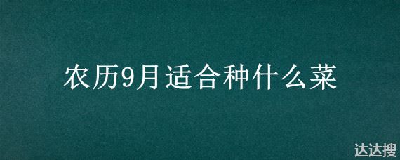 农历9月适合种什么菜