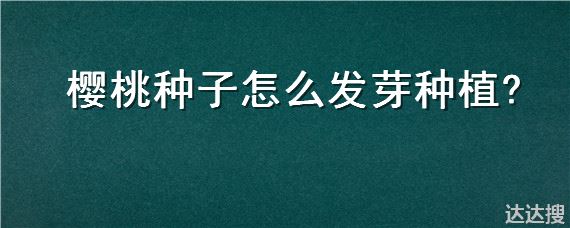 樱桃种子怎么发芽种植 樱桃种子怎么发芽