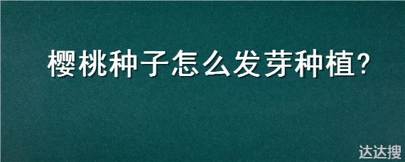 樱桃种子怎么发芽种植