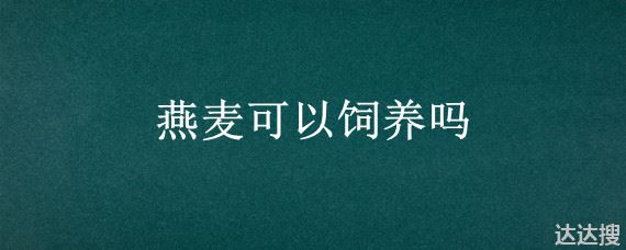 燕麦可以饲养吗