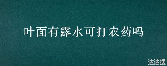 叶面有露水可打农药吗