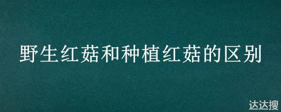 野生红菇和种植红菇的区别