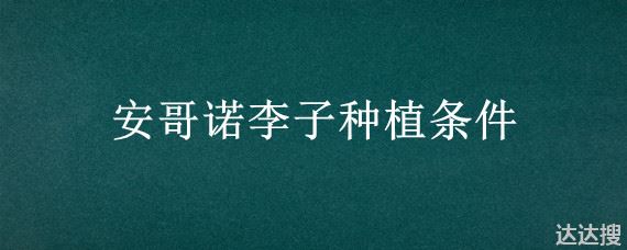 安哥诺李子种植条件