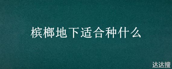 槟榔地下适合种什么