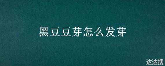 黑豆豆芽怎么发芽 黑豆豆芽怎么发芽视频