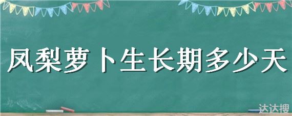 凤梨萝卜生长期多少天