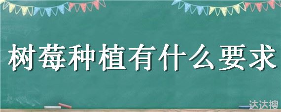 树莓种植有什么要求