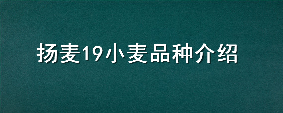 扬麦19小麦品种介绍 扬麦19是软质麦吗