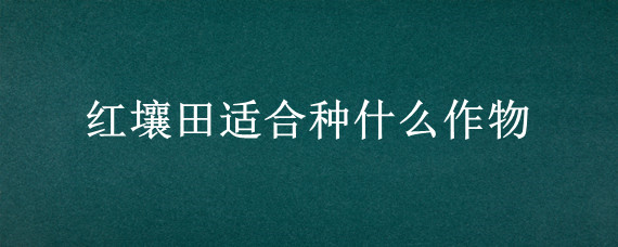 红壤田适合种什么作物