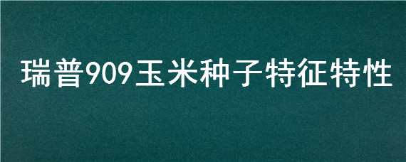 瑞普909玉米种子特征特性