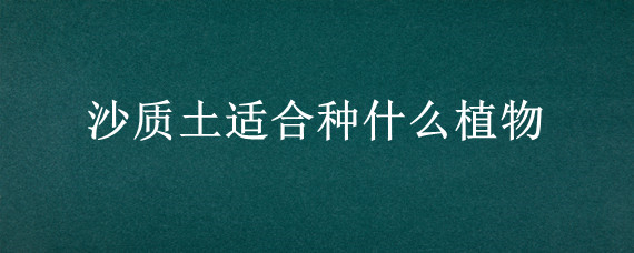 沙质土适合种什么植物 粘质土土适合种什么植物