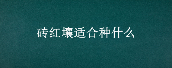 砖红壤适合种什么