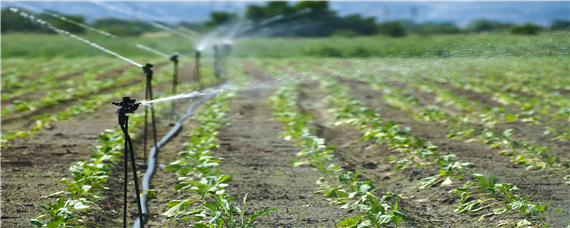 灌溉农业和河谷农业的区别 河谷农业的灌溉水源