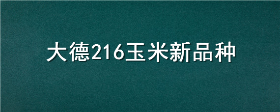 大德216玉米新品种 大德216成熟图片