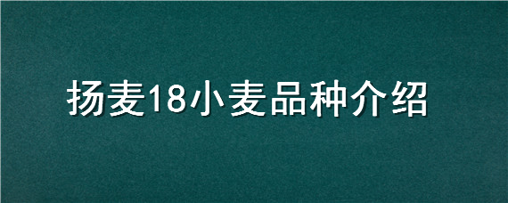 扬麦18小麦品种介绍