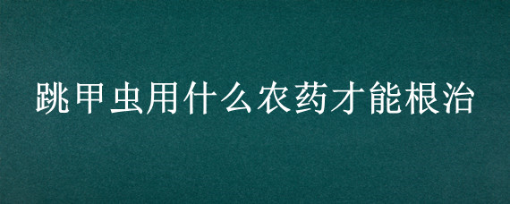 跳甲虫用什么农药才能根治