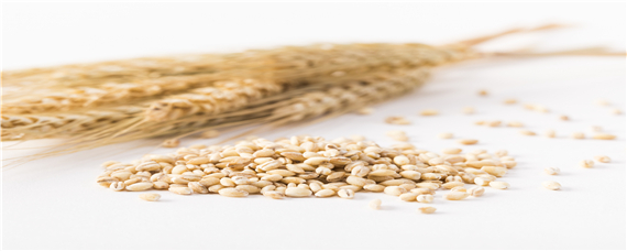 甲拌磷小麦拌种剂量