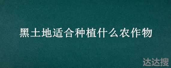 黑土地适合种植什么农作物